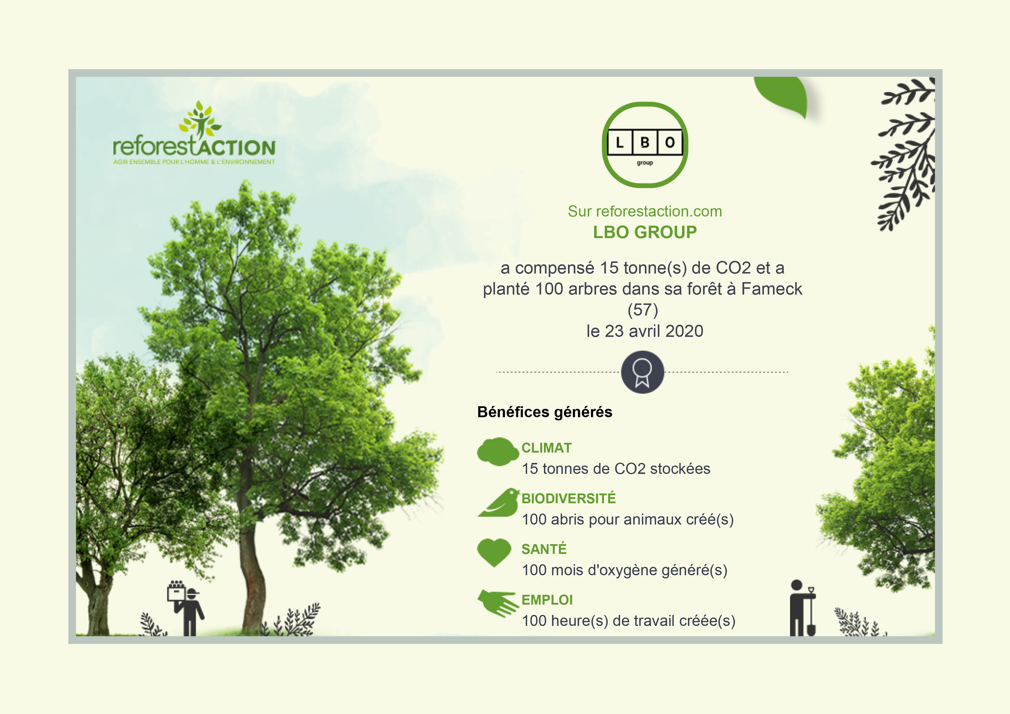 Certification de plantation de 100 arbres dans une forêt à proximité de nos bureaux
